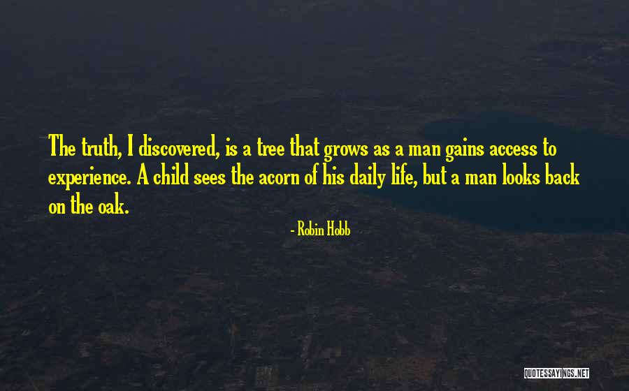 Songsak Thongsri Quotes By Robin Hobb Songsak Thongsri Quotes By Robin Hobb