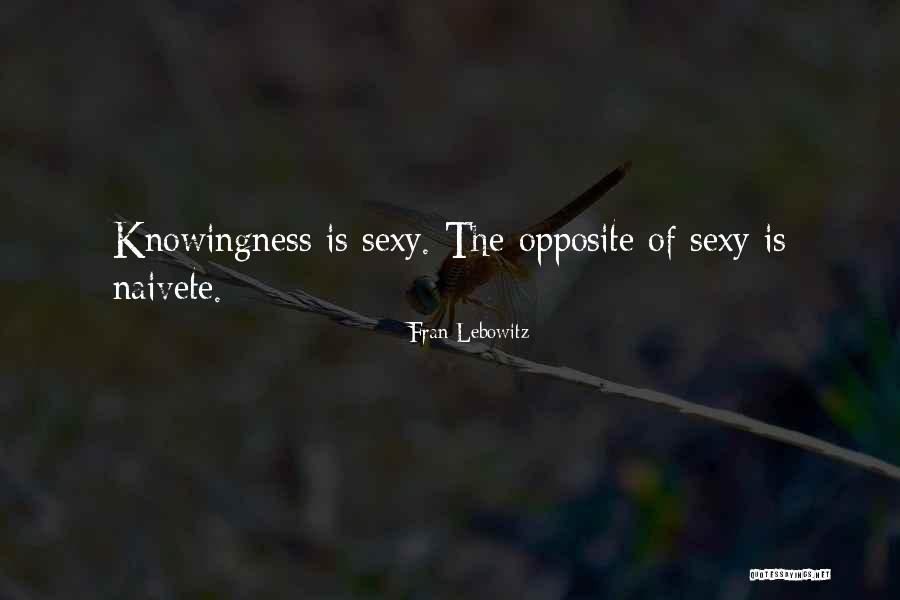 Songsang Dolphin Quotes By Fran Lebowitz Songsang Dolphin Quotes By Fran Lebowitz