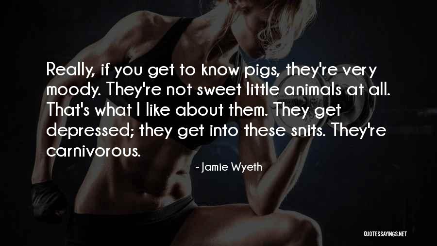 Songsiridej Nowarat Quotes By Jamie Wyeth Songsiridej Nowarat Quotes By Jamie Wyeth
