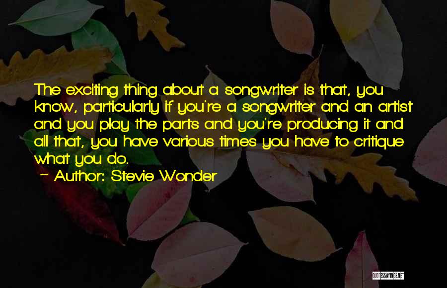 Songwriter Quotes By Stevie Wonder