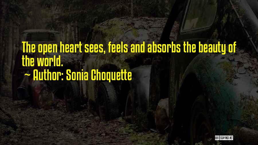 Sonia Choquette Quotes 1145009