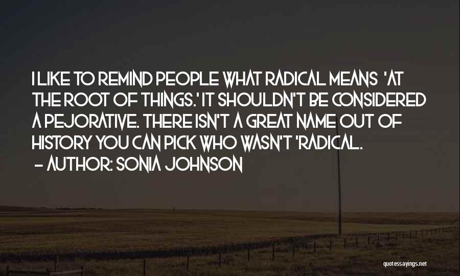 Sonia Johnson Quotes 795422