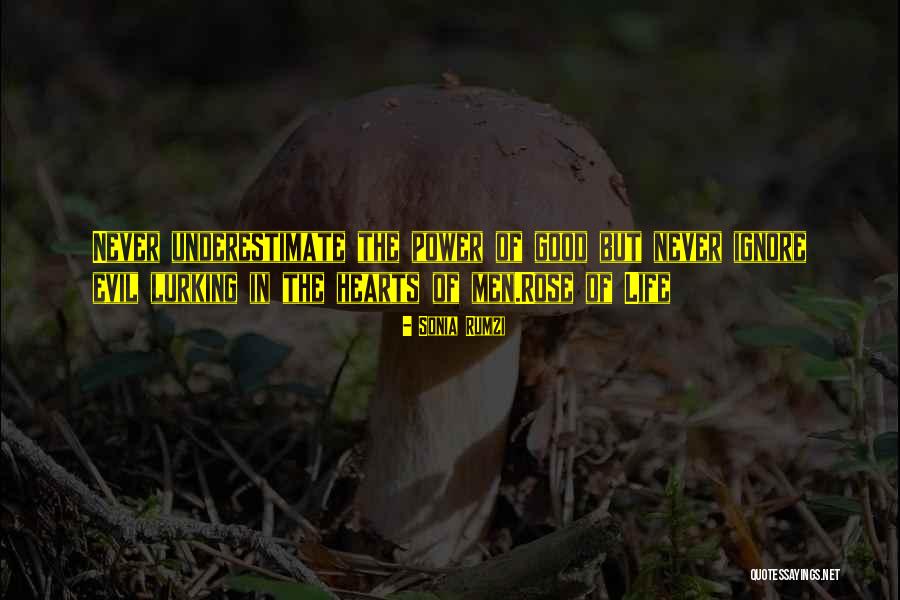 Sonia Rumzi Quotes 1933952 Sonia Rumzi Quotes 1933952