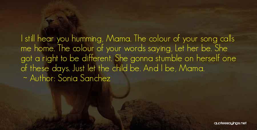 Sonia Sanchez Quotes 1272480