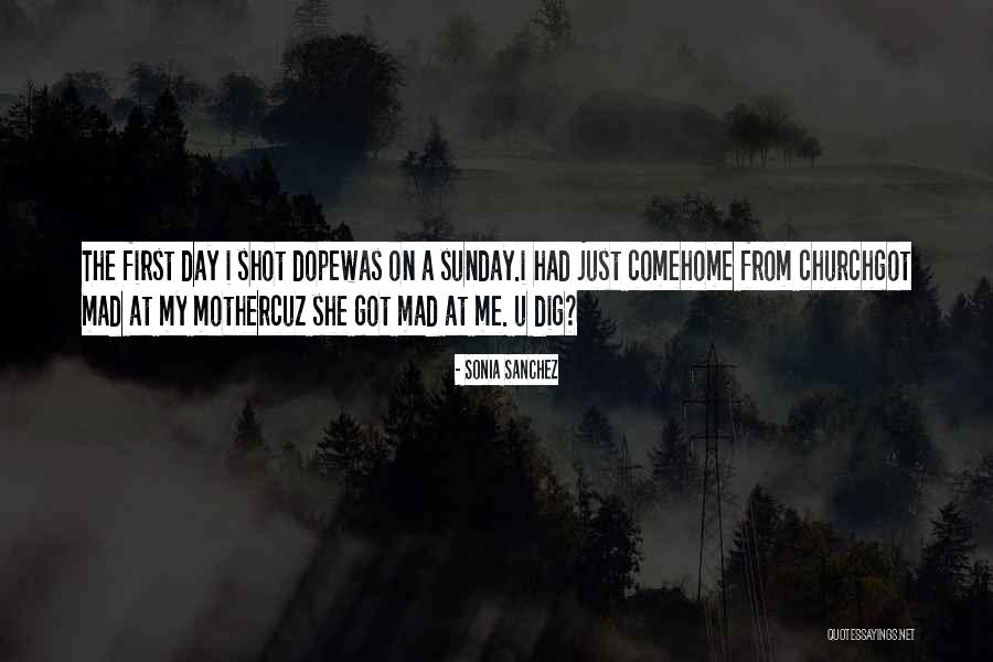 Sonia Sanchez Quotes 644273 Sonia Sanchez Quotes 644273
