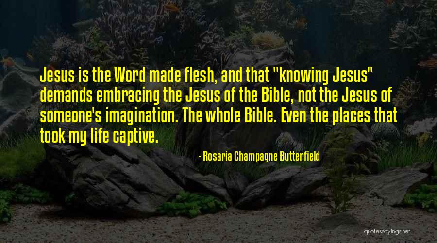 Sonification Quotes By Rosaria Champagne Butterfield Sonification Quotes By Rosaria Champagne Butterfield