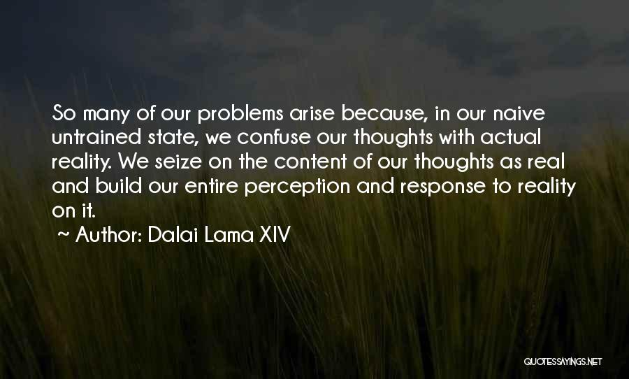 Sonlyn Quotes By Dalai Lama XIV