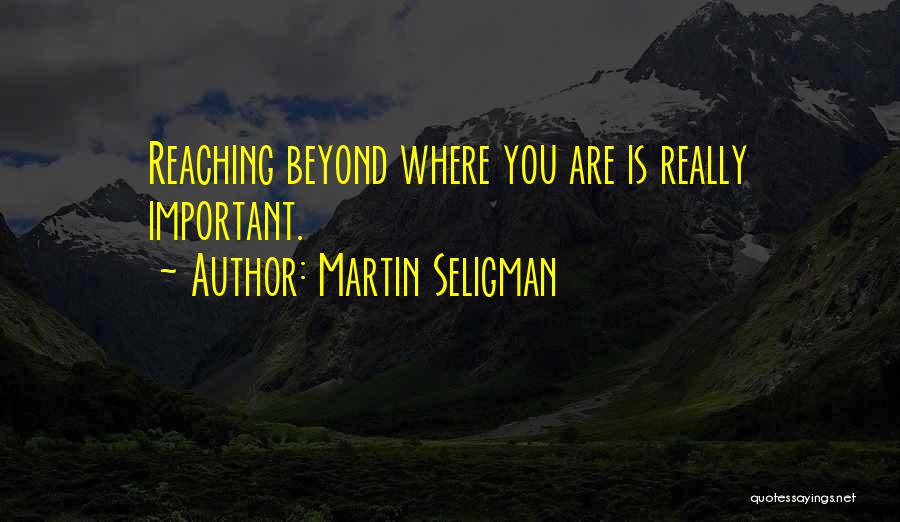 Sonlyn Quotes By Martin Seligman