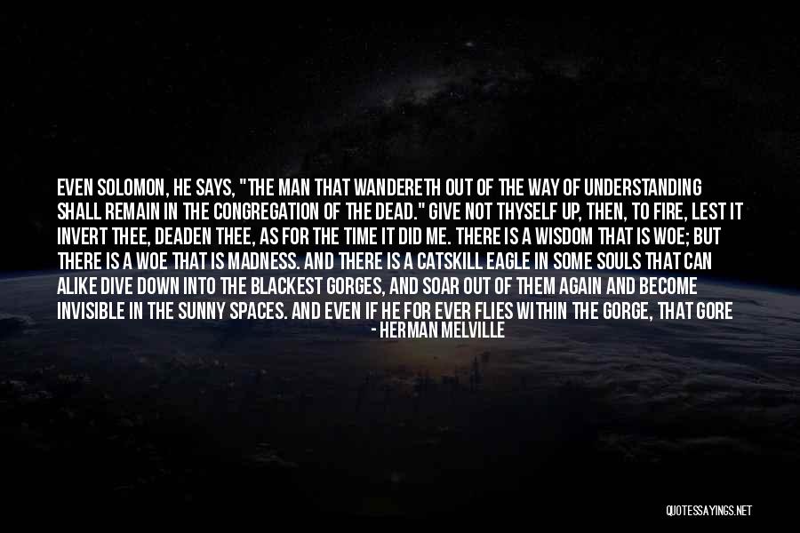 Sonnefeld Murder Quotes By Herman Melville Sonnefeld Murder Quotes By Herman Melville