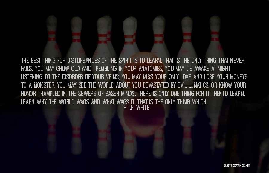 Sonnens Meat Quotes By T.H. White Sonnens Meat Quotes By T.H. White