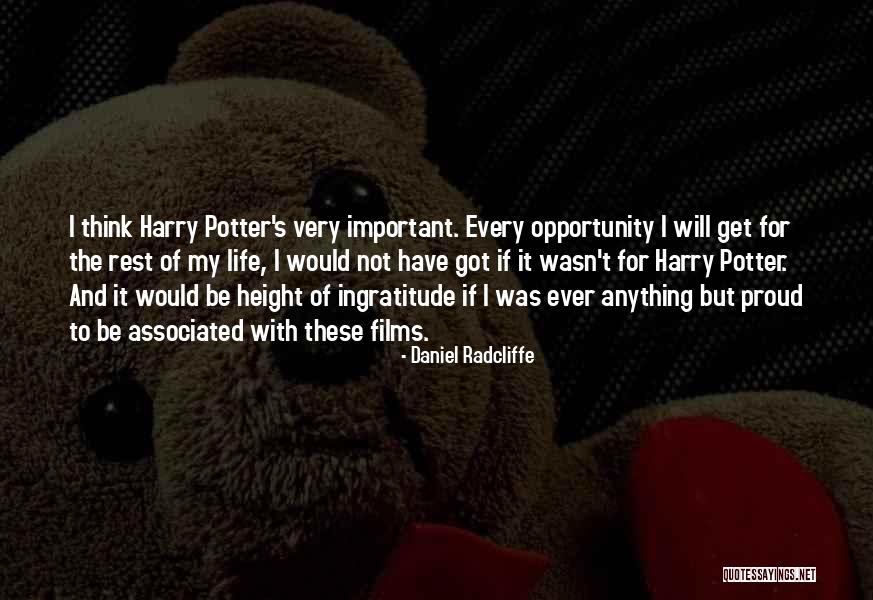 Sonnenthal Metal Planer Quotes By Daniel Radcliffe