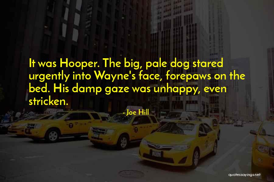 Sonnenuhr Bauen Quotes By Joe Hill Sonnenuhr Bauen Quotes By Joe Hill