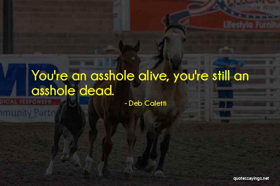 Sonnier Chiropractic Quotes By Deb Caletti Sonnier Chiropractic Quotes By Deb Caletti