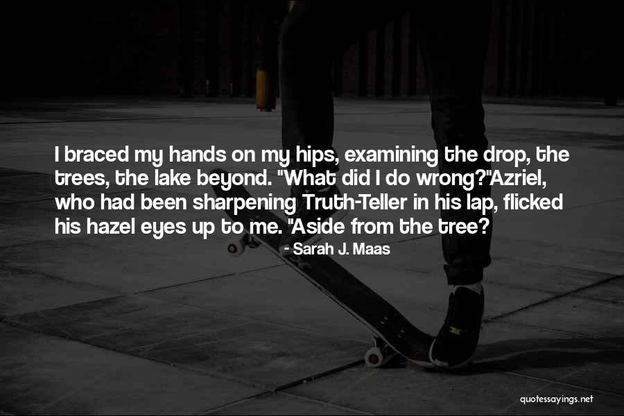 Sonnukiemchien Quotes By Sarah J. Maas Sonnukiemchien Quotes By Sarah J. Maas