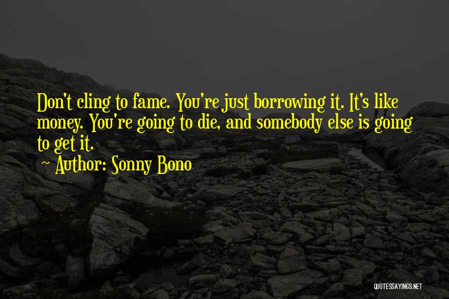 Sonny Bono Quotes 389376