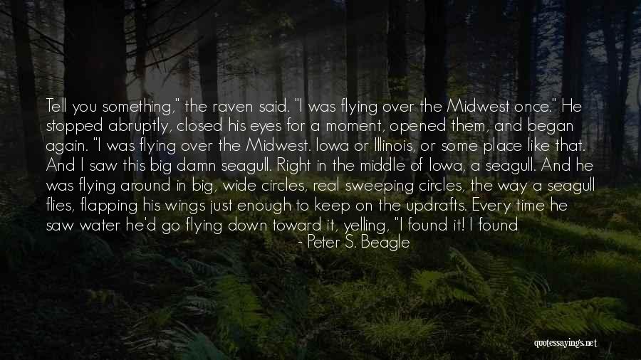 Sonofabitch Quotes By Peter S. Beagle Sonofabitch Quotes By Peter S. Beagle