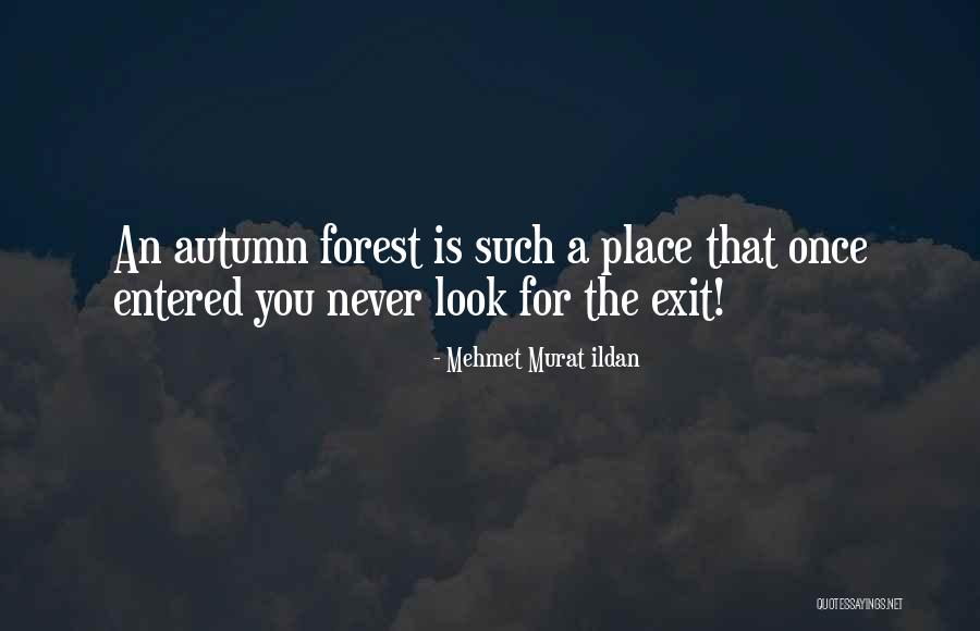 Sonora Quest Quotes By Mehmet Murat Ildan Sonora Quest Quotes By Mehmet Murat Ildan