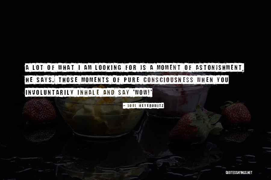 Sonorous Breathing Quotes By Joel Meyerowitz Sonorous Breathing Quotes By Joel Meyerowitz