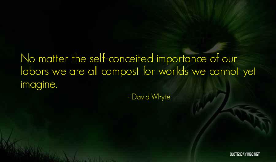 Son's 18th Birthday Quotes By David Whyte