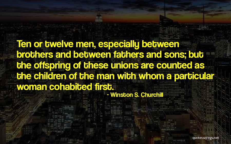 Sons And Brothers Quotes By Winston S. Churchill