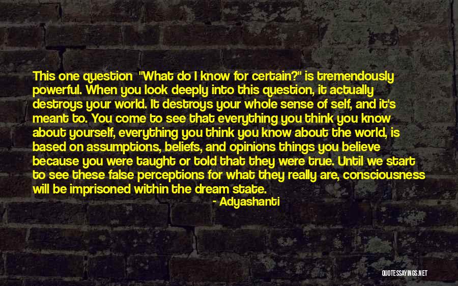 Sonsire Audiology Quotes By Adyashanti Sonsire Audiology Quotes By Adyashanti