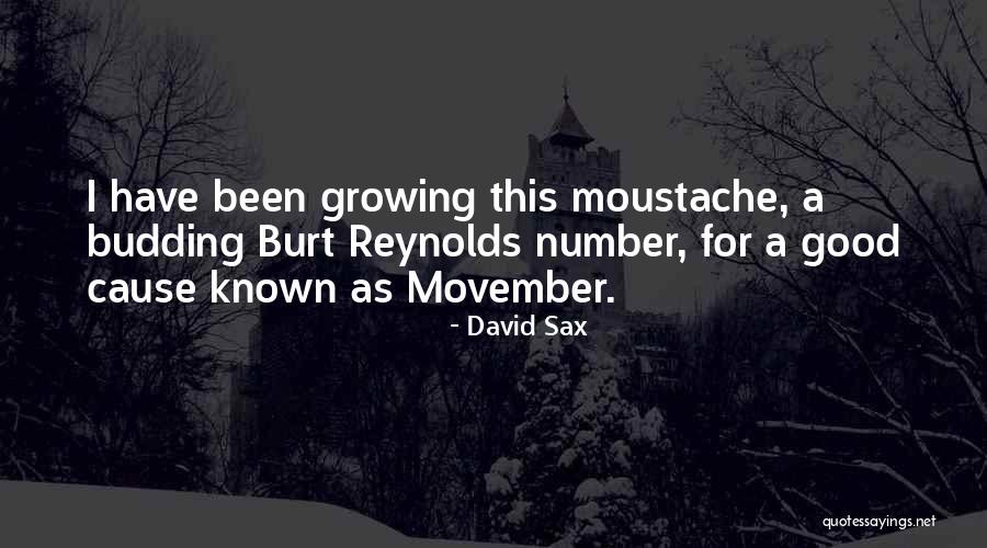 Sonwabile Duda Quotes By David Sax Sonwabile Duda Quotes By David Sax