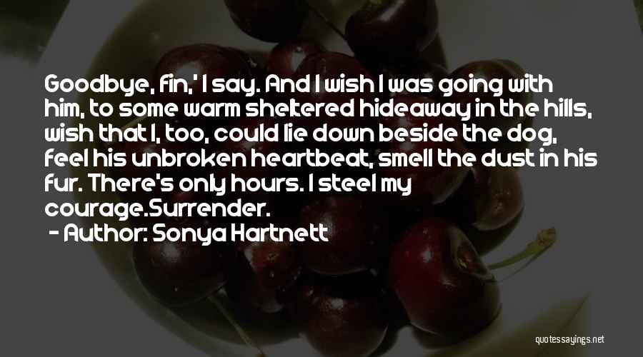 Sonya Hartnett Quotes 542754
