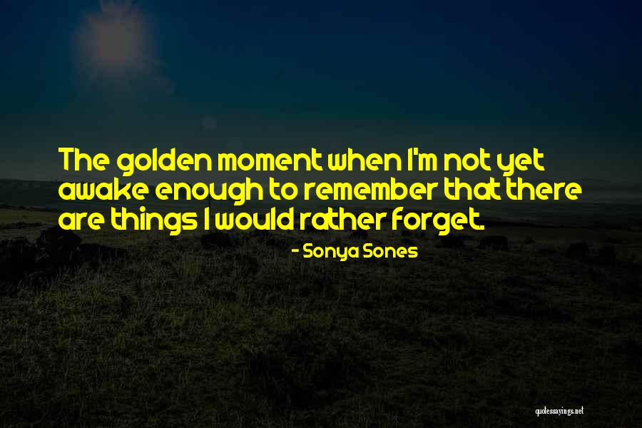 Sonya Sones Quotes 678601