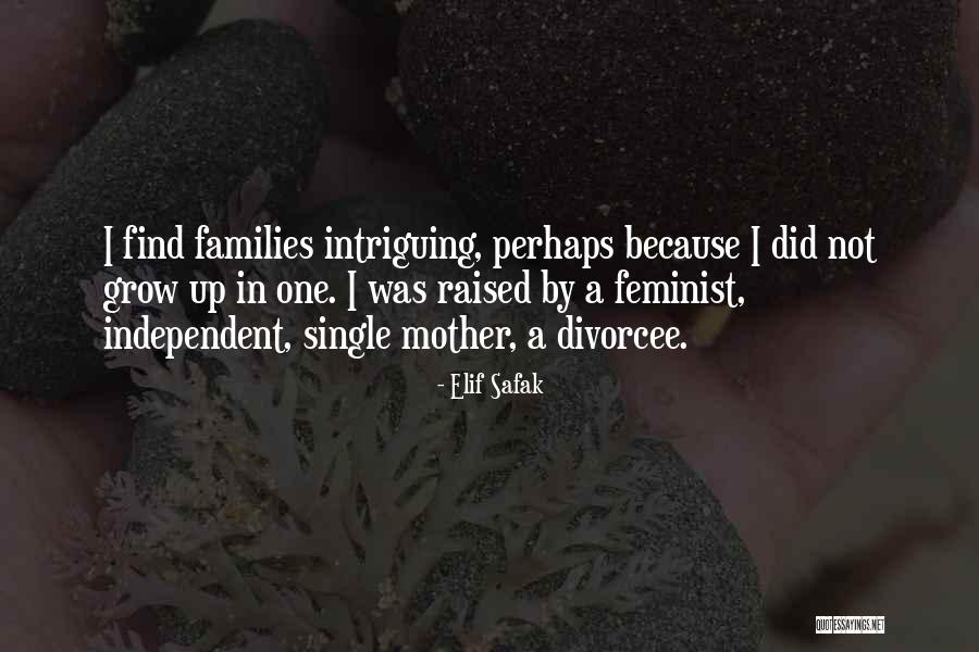 Soon To Be Single Mother Quotes By Elif Safak