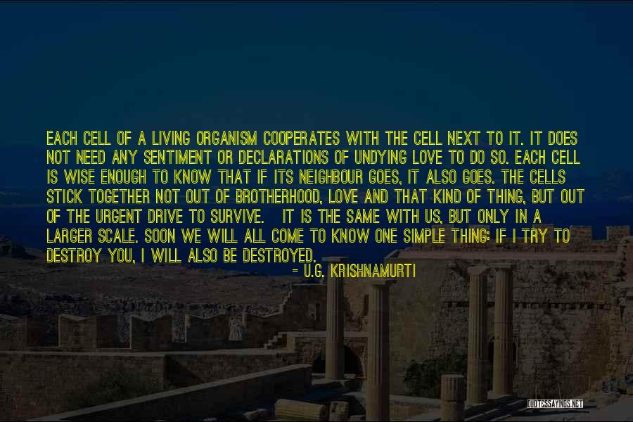 Soon We Will Be Together Quotes By U.G. Krishnamurti Soon We Will Be Together Quotes By U.G. Krishnamurti
