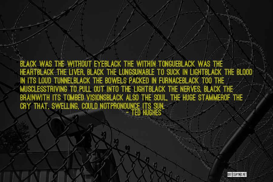 Sooni Tommi Quotes By Ted Hughes Sooni Tommi Quotes By Ted Hughes