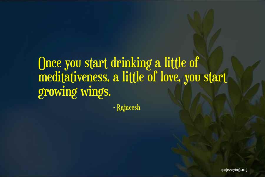 Soothd Quotes By Rajneesh