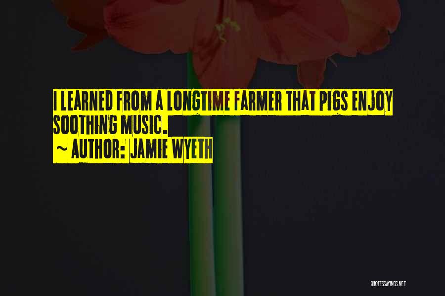 Soothing Music Quotes By Jamie Wyeth