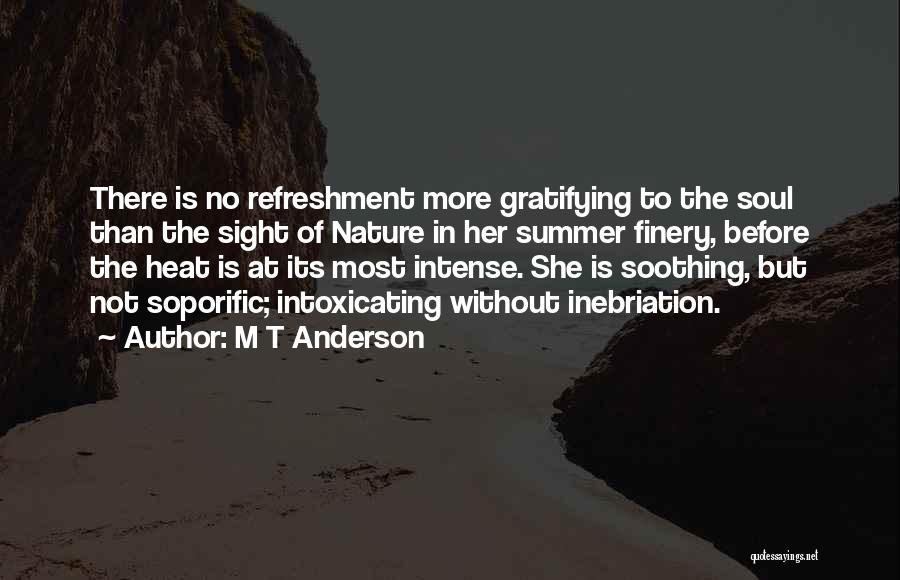 Soothing The Soul Quotes By M T Anderson