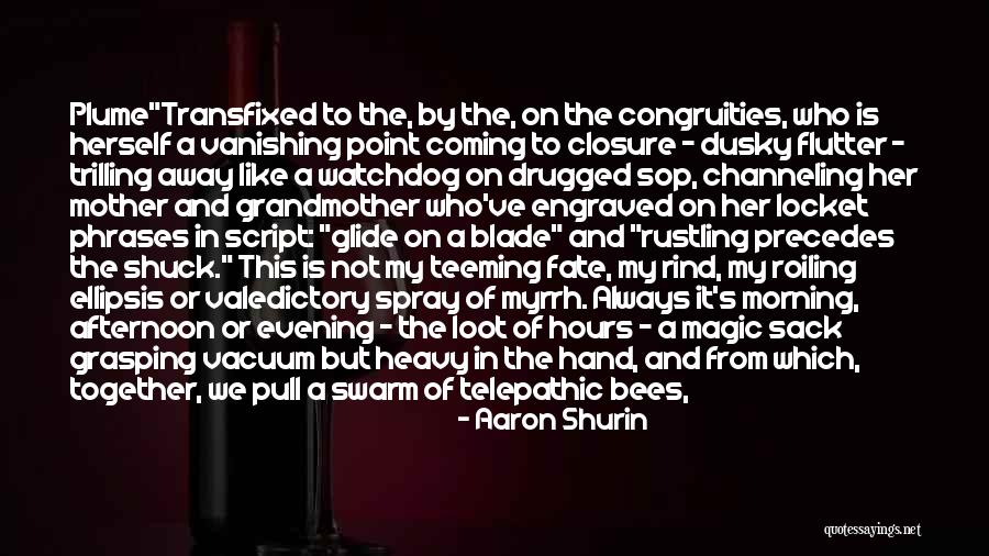 Sop Quotes By Aaron Shurin Sop Quotes By Aaron Shurin