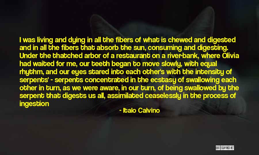 Sopa Quotes By Italo Calvino