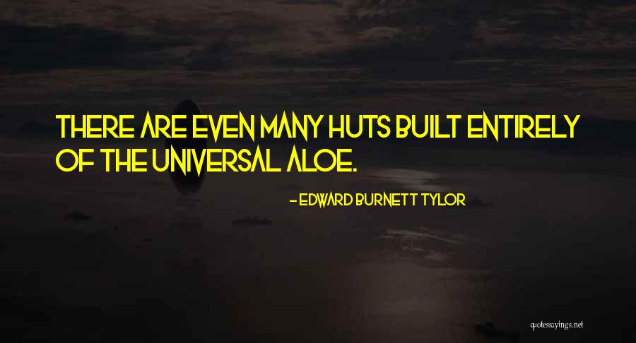 Sopan Joshi Quotes By Edward Burnett Tylor Sopan Joshi Quotes By Edward Burnett Tylor