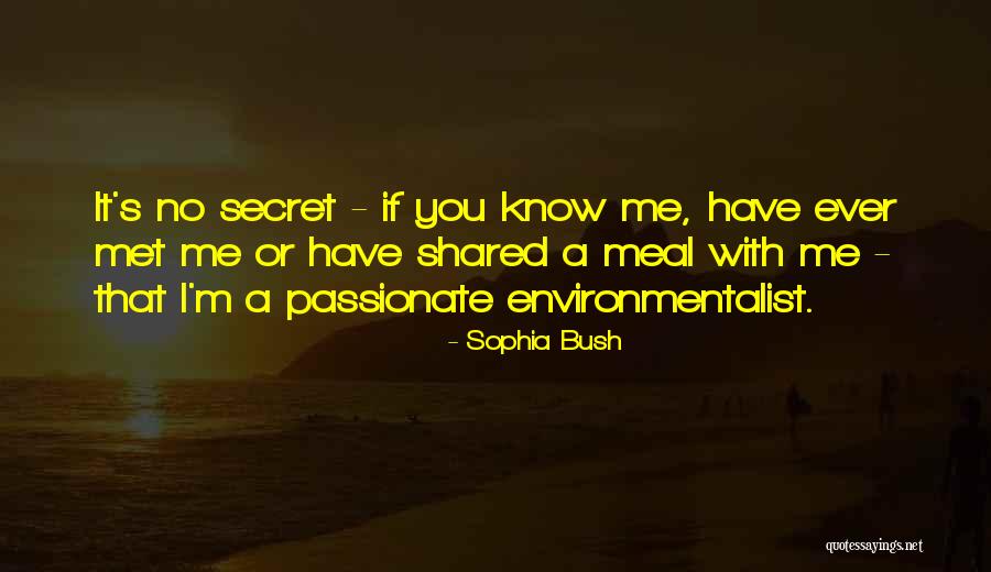 Sophia Bush Quotes 1378841