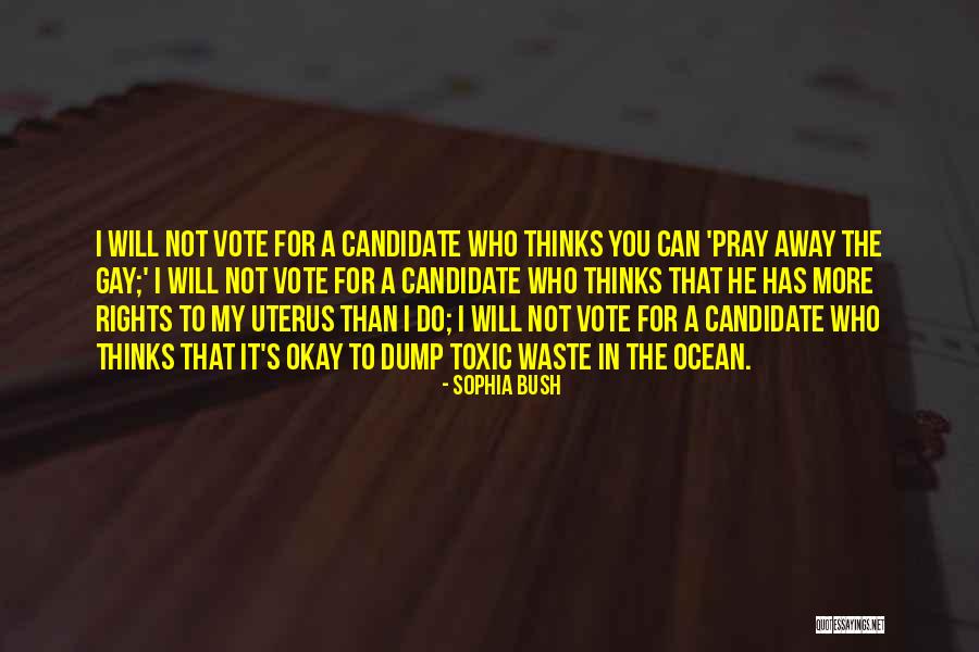 Sophia Bush Quotes 1845633 Sophia Bush Quotes 1845633