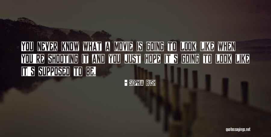 Sophia Bush Quotes 991586 Sophia Bush Quotes 991586