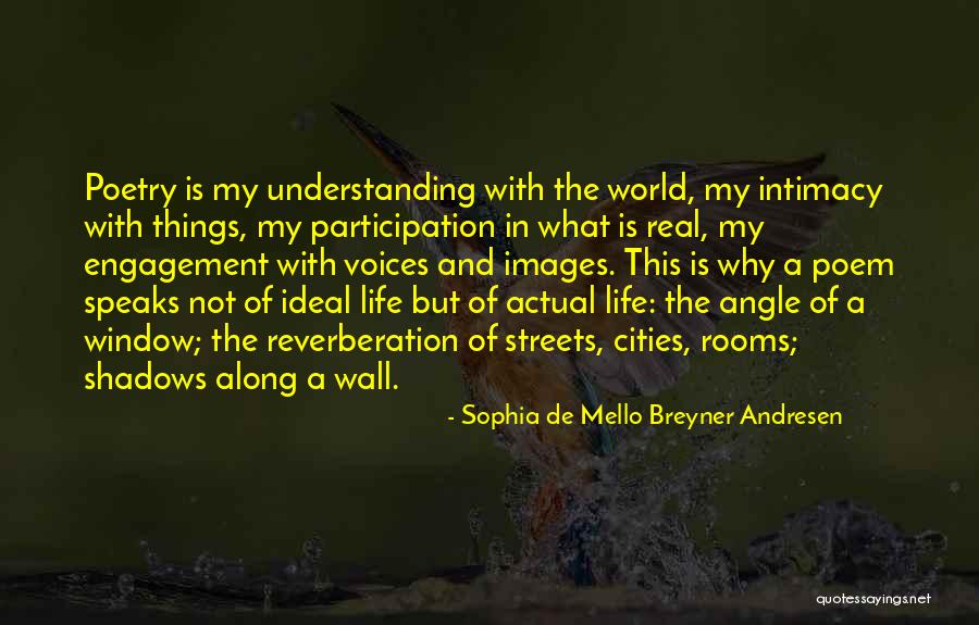 Sophia De Mello Breyner Andresen Quotes 1672499