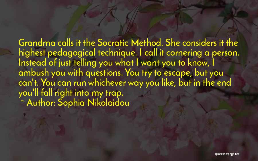 Sophia Nikolaidou Quotes 1619408