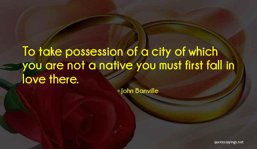 Sophiaannecaruso Quotes By John Banville