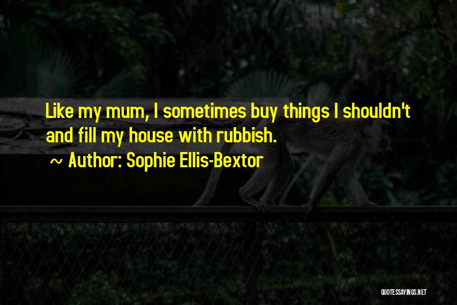 Sophie Ellis-Bextor Quotes 2216592