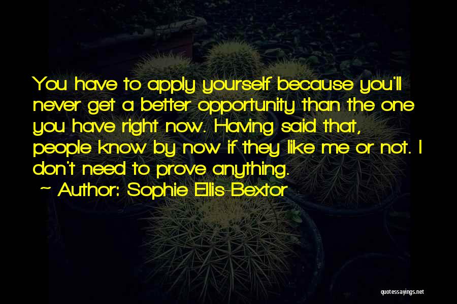 Sophie Ellis-Bextor Quotes 958948