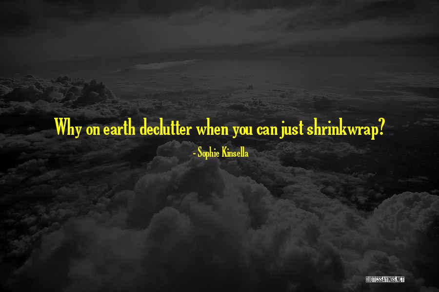 Sophie Kinsella Quotes 1106296 Sophie Kinsella Quotes 1106296