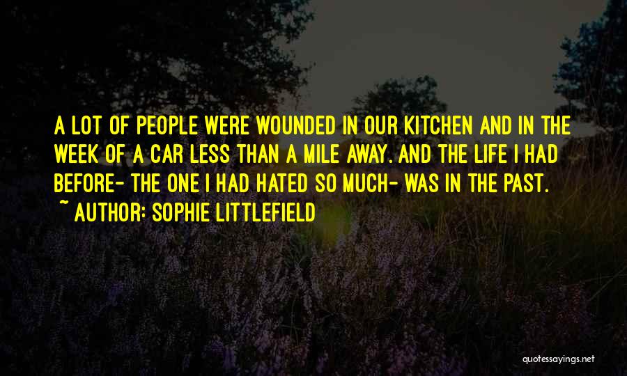 Sophie Littlefield Quotes 1651835
