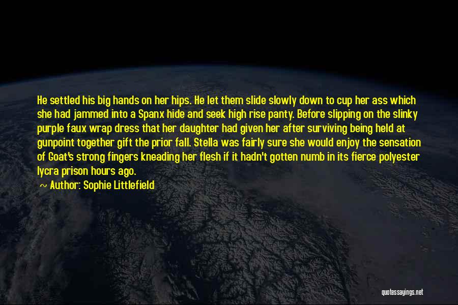 Sophie Littlefield Quotes 1759867