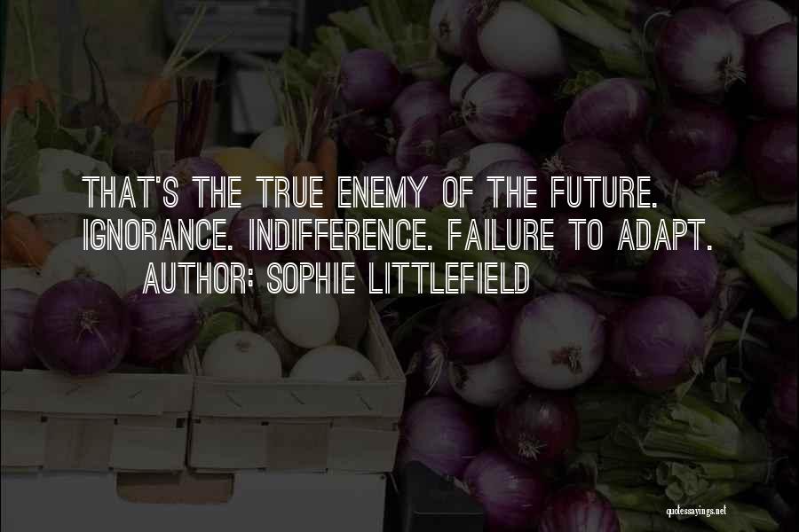 Sophie Littlefield Quotes 733244