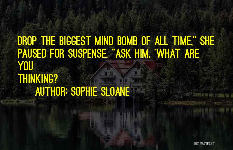 Sophie Sloane Quotes 338209